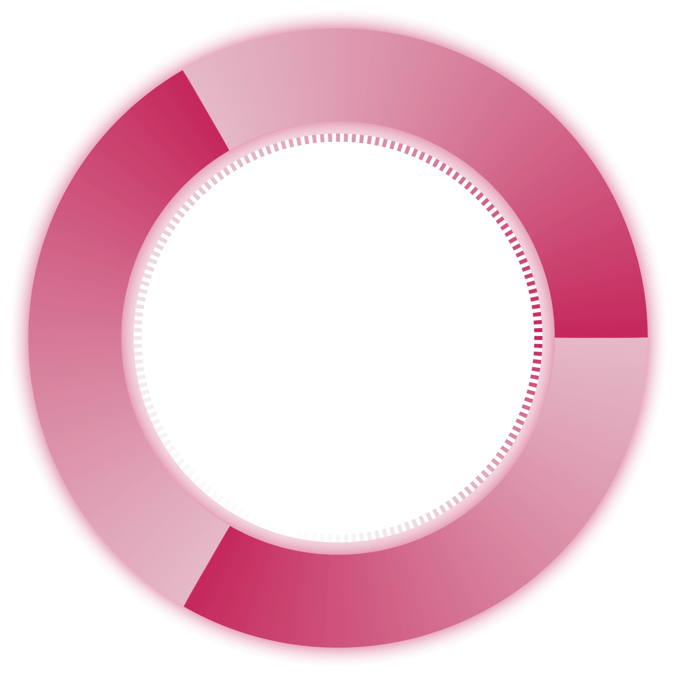 ����ɼ��������