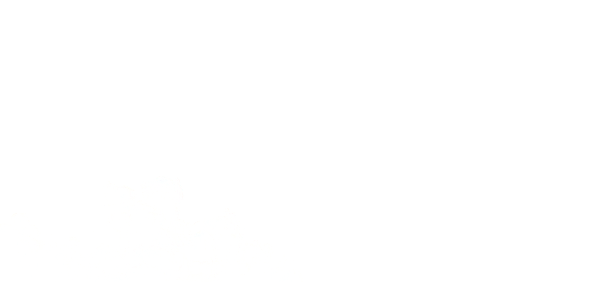 ����ɼ��������