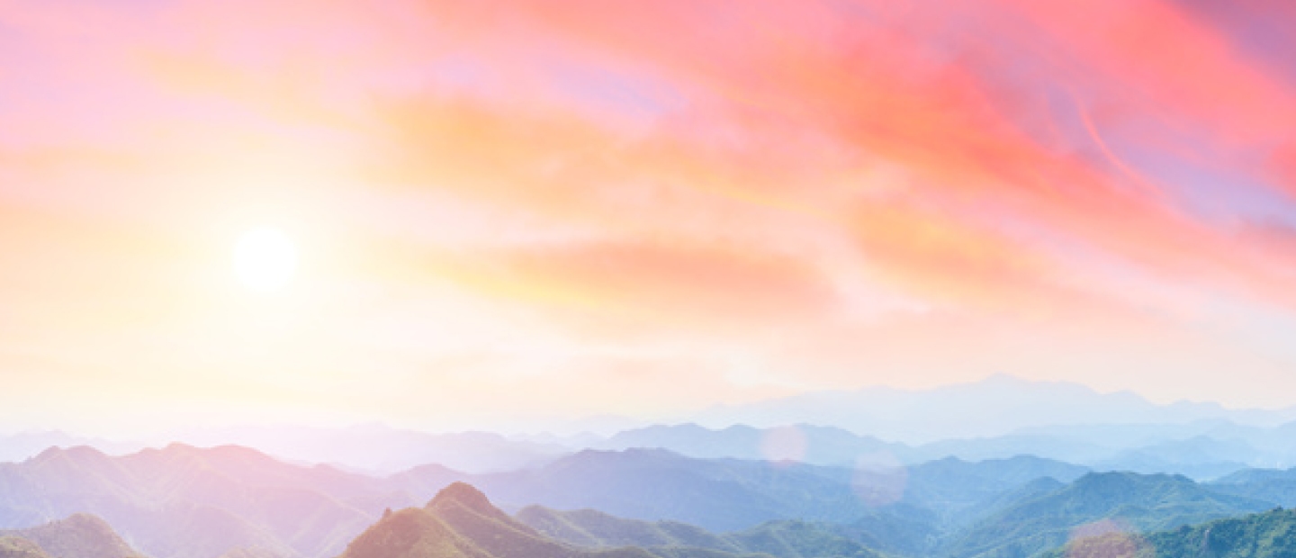 ����ɼ��������