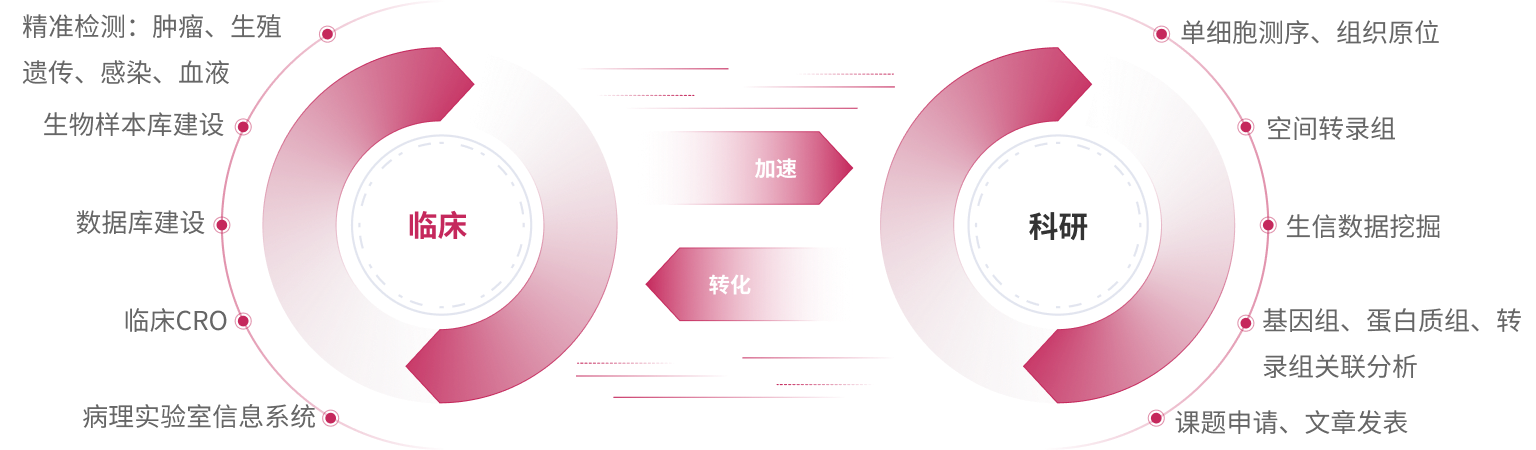 ����ɼ��������