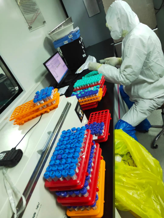 1608009826224908.png Ã÷È·1.png