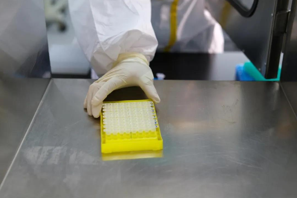 1610429014541181.png image.png