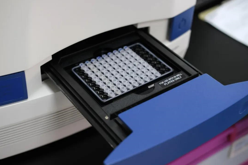 1610429042336366.png image.png