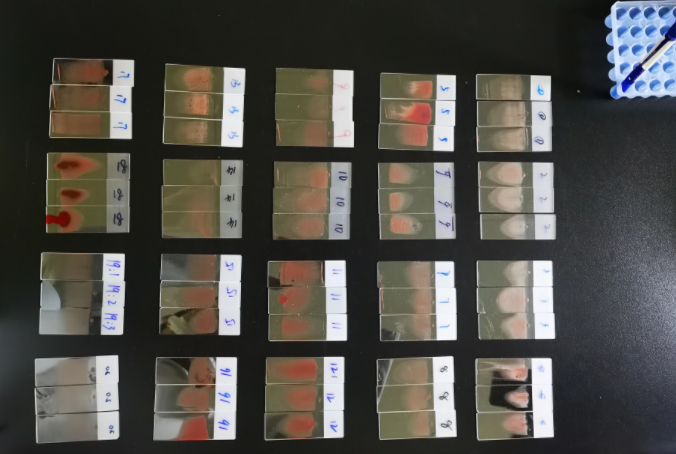 1638330668131333.png image.png