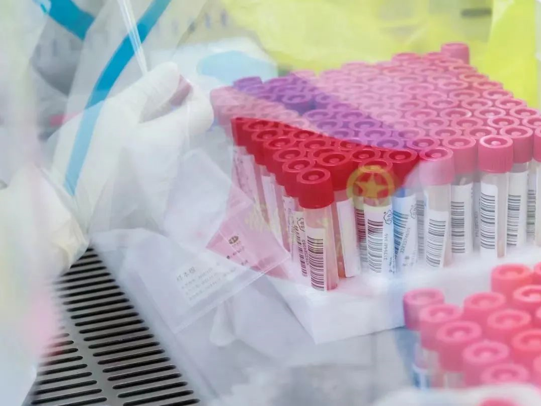 1653620019728488.png image.png