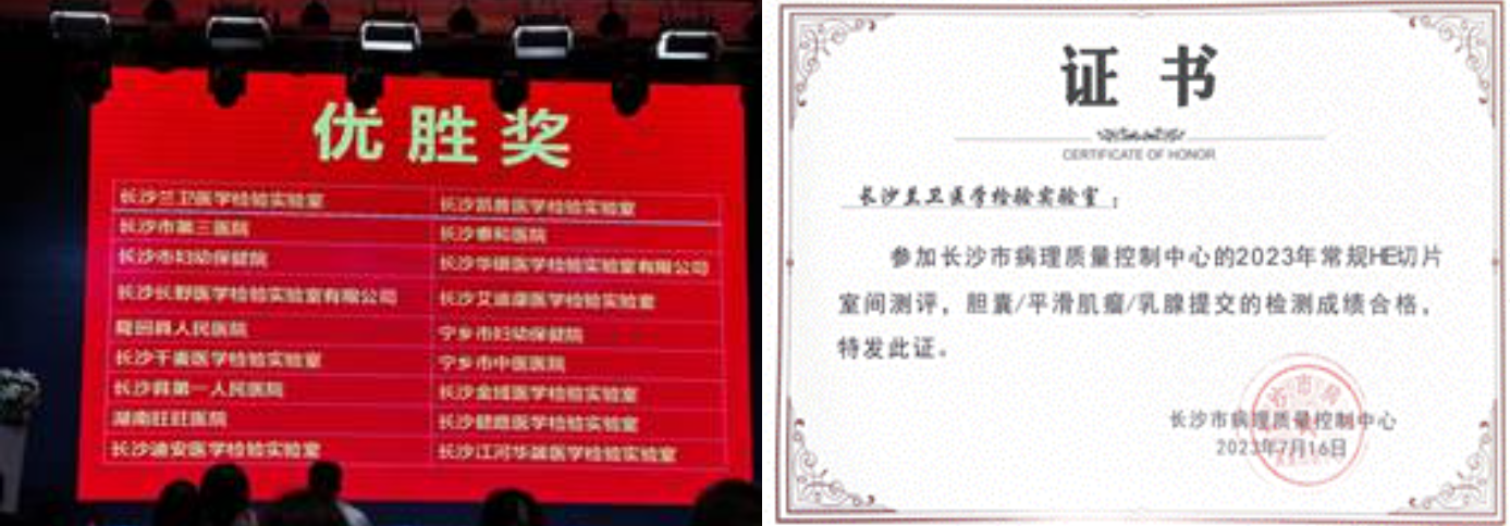 1689822704958507.png image.png