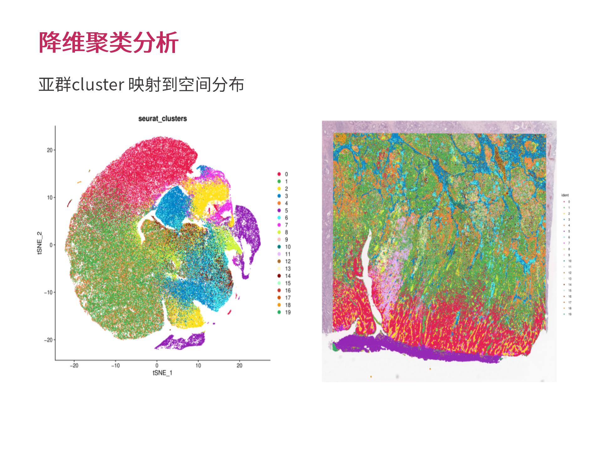 �������Ի�������Ϣ���� (2.25)--_10.jpg