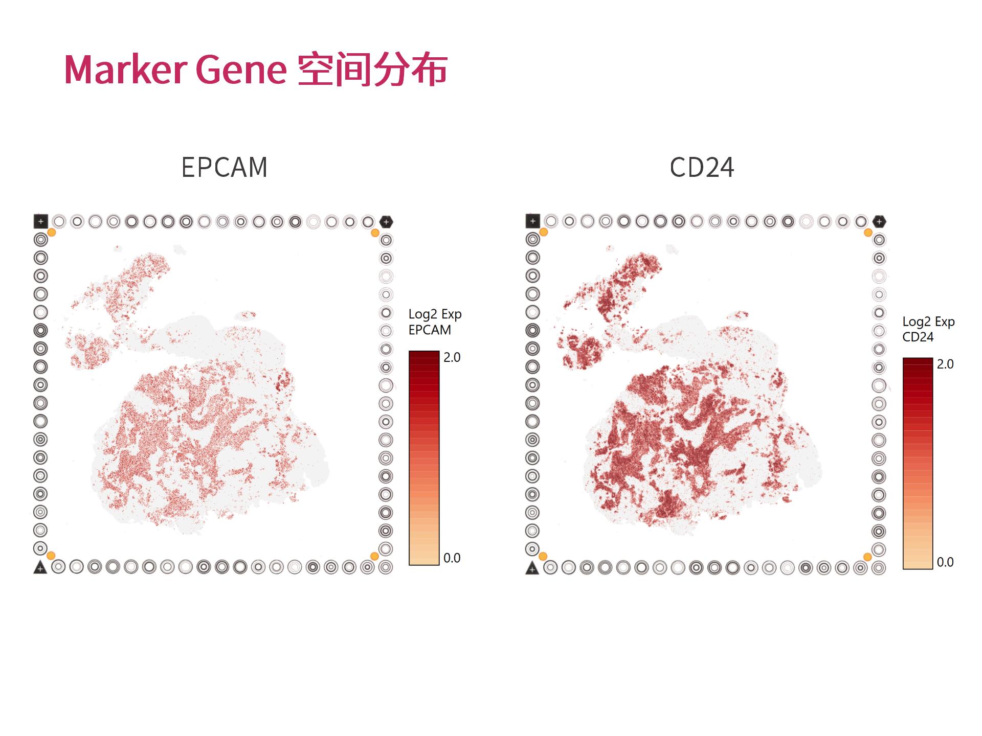 �������Ի�������Ϣ���� (2.25)--_11.jpg