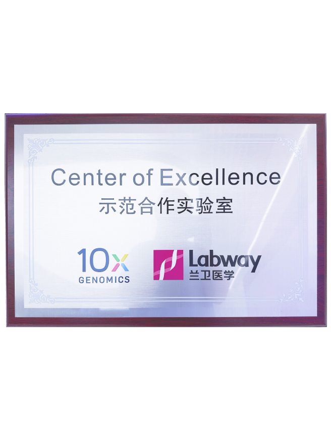 03 ������10X��ģ����ʵ����.png